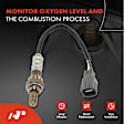 APOS0061 Downstream O2 Oxygen Sensor