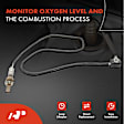 APOS0062 Upstream O2 Oxygen Sensor