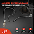 APOS0063 Downstream O2 Oxygen Sensor