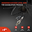 APOS0064 Upstream Downstream O2 Oxygen Sensor