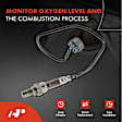 APOS0067 Downstream O2 Oxygen Sensor