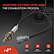 APOS0072 O2 Oxygen Sensor