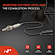 APOS0078 Downstream O2 Oxygen Sensor