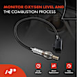 APOS0082C Upstream O2 Oxygen Sensor