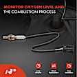 APOS0085C Downstream O2 Oxygen Sensor