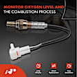 APOS0094 Downstream O2 Oxygen Sensor