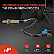 APOS0098 Upstream O2 Oxygen Sensor