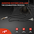 APOS0100 Downstream O2 Oxygen Sensor