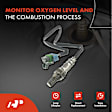 APOS0101 Upstream O2 Oxygen Sensor