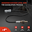 APOS0102 Downstream O2 Oxygen Sensor