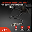 APOS0106 Downstream O2 Oxygen Sensor