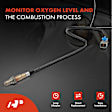 APOS0108C Downstream O2 Oxygen Sensor