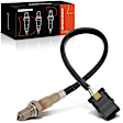 APOS0110 Downstream O2 Oxygen Sensor