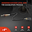 APOS0110 Downstream O2 Oxygen Sensor