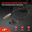 APOS0113C Upstream Downstream O2 Oxygen Sensor