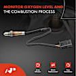 APOS0115C Upstream O2 Oxygen Sensor