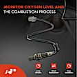 APOS0117 Upstream O2 Oxygen Sensor