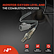 APOS0120 Upstream O2 Oxygen Sensor