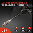 APOS0121 Upstream O2 Oxygen Sensor
