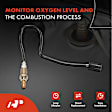 APOS0122 Upstream O2 Oxygen Sensor