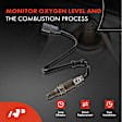 APOS0123 Upstream O2 Oxygen Sensor
