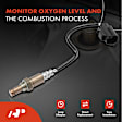 APOS0124 Upstream O2 Oxygen Sensor