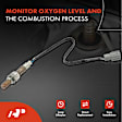 APOS0125 Upstream O2 Oxygen Sensor