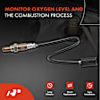 APOS0130C Upstream O2 Oxygen Sensor
