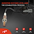 APOS0132 Upstream O2 Oxygen Sensor