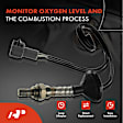 APOS0134 Downstream O2 Oxygen Sensor