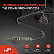 APOS0136 O2 Oxygen Sensor