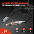 APOS0138C Upstream O2 Oxygen Sensor