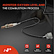 APOS0140 Upstream O2 Oxygen Sensor