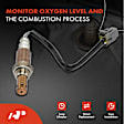 APOS0142 Upstream O2 Oxygen Sensor
