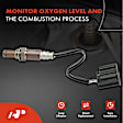 APOS0144 Upstream O2 Oxygen Sensor