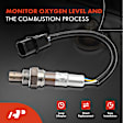 APOS0145 O2 Oxygen Sensor