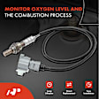 APOS0148 Downstream O2 Oxygen Sensor
