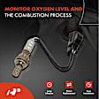 APOS0149 O2 Oxygen Sensor