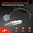APOS0151 Upstream O2 Oxygen Sensor