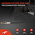 4-Pc Oxygen Sensor, Upstream & Downstream, 4-Pin, A-Premium APOS0165
