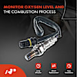 4-Pc Oxygen Sensor, Upstream & Downstream, 4-Pin, A-Premium APOS0170
