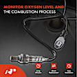 APOS0171 2x Upstream & Downstream O2 Oxygen Sensor