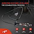 APOS0174 2x Downstream O2 Oxygen Sensor