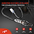 APOS0186 2x Upstream & Downstream O2 Oxygen Sensor