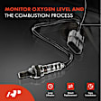 2-Pc Oxygen Sensor, Upstream & Downstream, A-Premium APOS0187