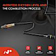 APOS0189 2x Downstream Left & Right O2 Oxygen Sensor