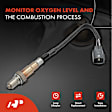 APOS0191 4x Upstream & Downstream O2 Oxygen Sensor