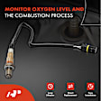 APOS0193 2x Downstream O2 Oxygen Sensor