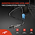 APOS0212 4x Upstream & Downstream O2 Oxygen Sensor