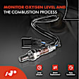 APOS0217 2x Downstream Left & Right O2 Oxygen Sensor
